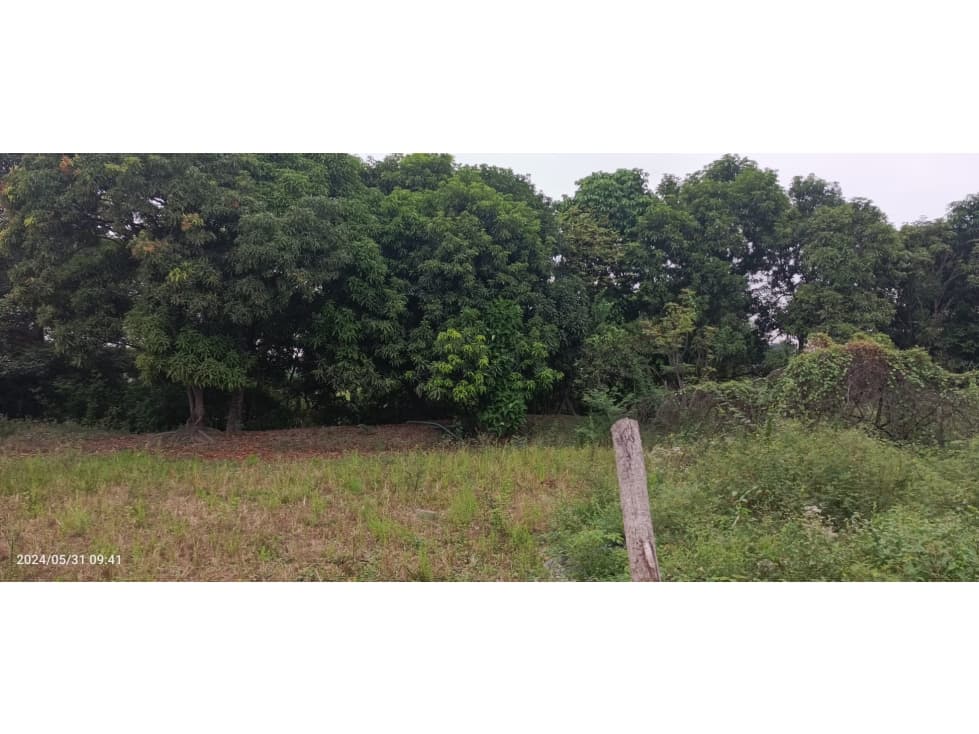 Vendo Terreno en Hacienda Candelaria Cerca de La Joya — foto 3