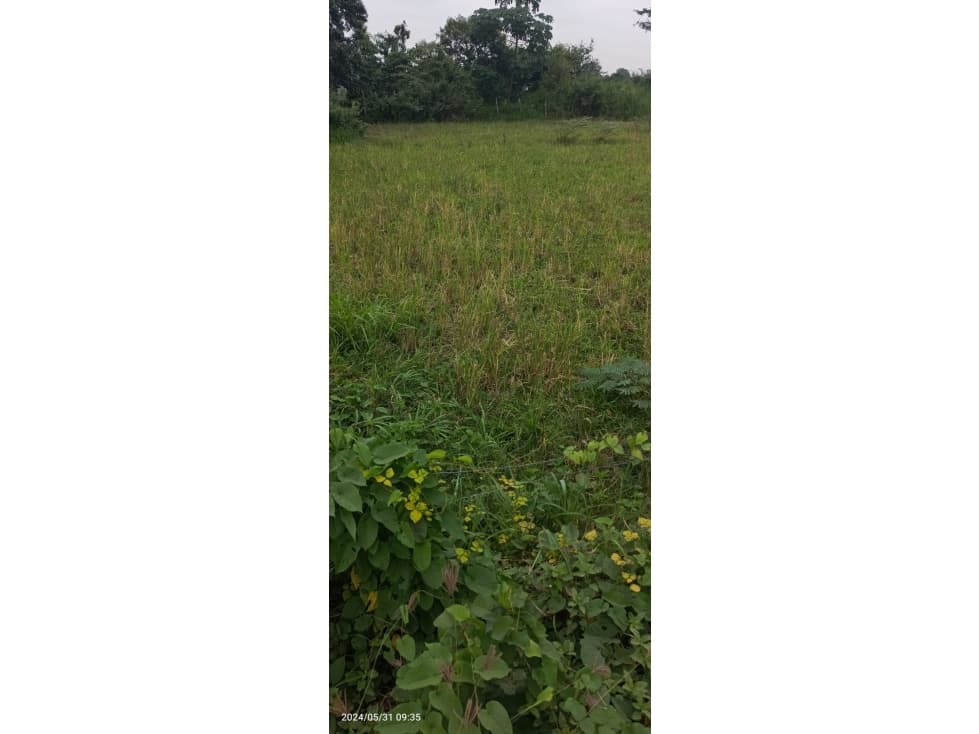 Vendo Terreno en Hacienda Candelaria Cerca de La Joya — foto 4