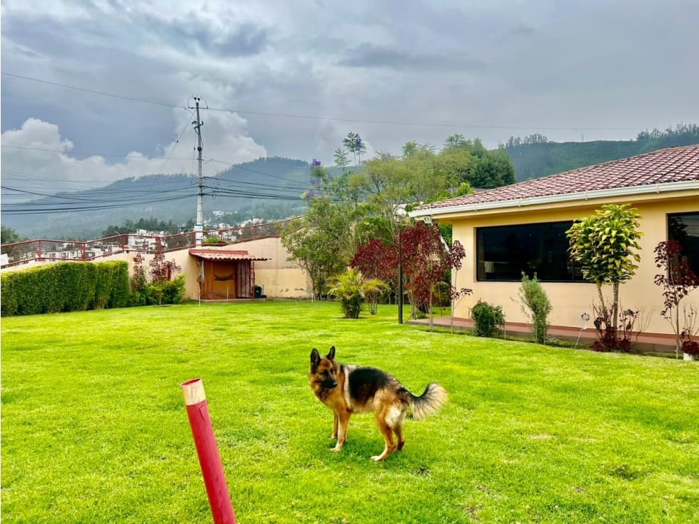 Casas de Venta Cumbaya Yanazarapata con terreno para Proyectos — foto 3