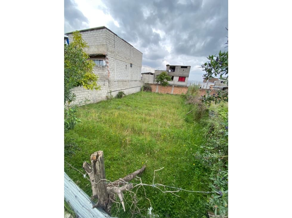 INMOPI | VENTA DE TERRENO PLANO GUAMANI | IPS 0180 — foto 3