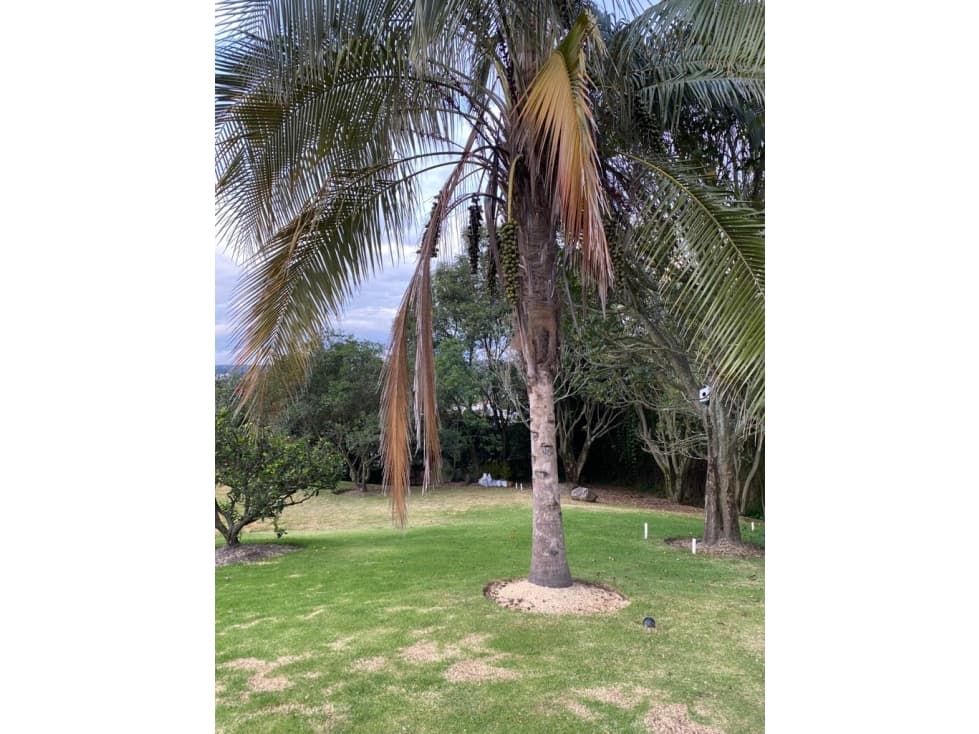 Terreno VENTA Cumbayá dentro de urbanización privada — foto 5