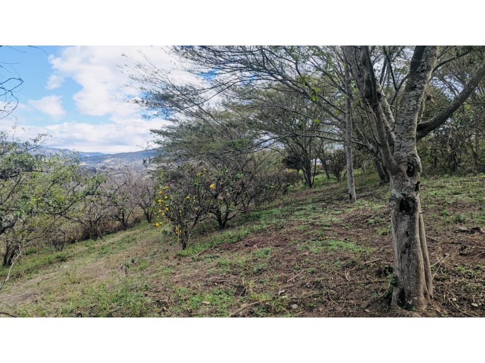 Terreno VENTA 5.647m2 NAYÓN, sector San Pedro del Valle — foto 5