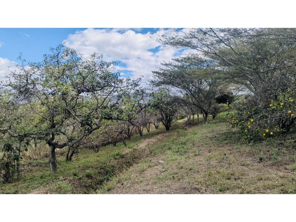 Terreno VENTA 5.647m2 NAYÓN, sector San Pedro del Valle — foto 6