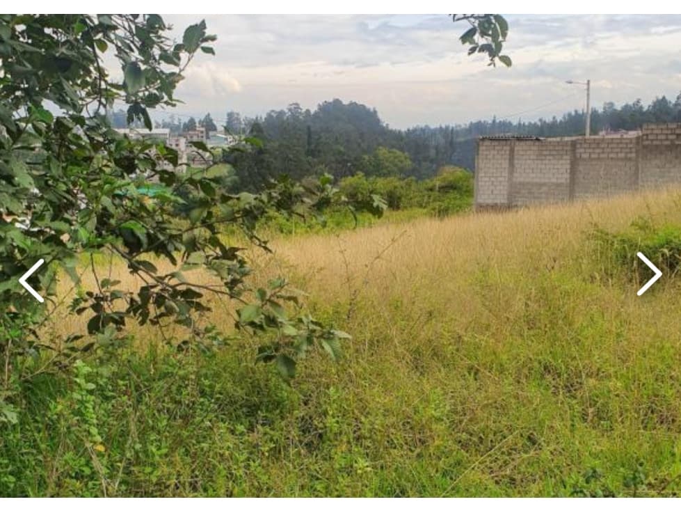 Terreno VENTA Pifo 1000m2 a 2 cuadras de vía principal — foto 2