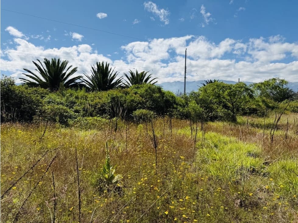Terreno 1.266 m2 VENTA PUEMBO x arrayanes — foto 2