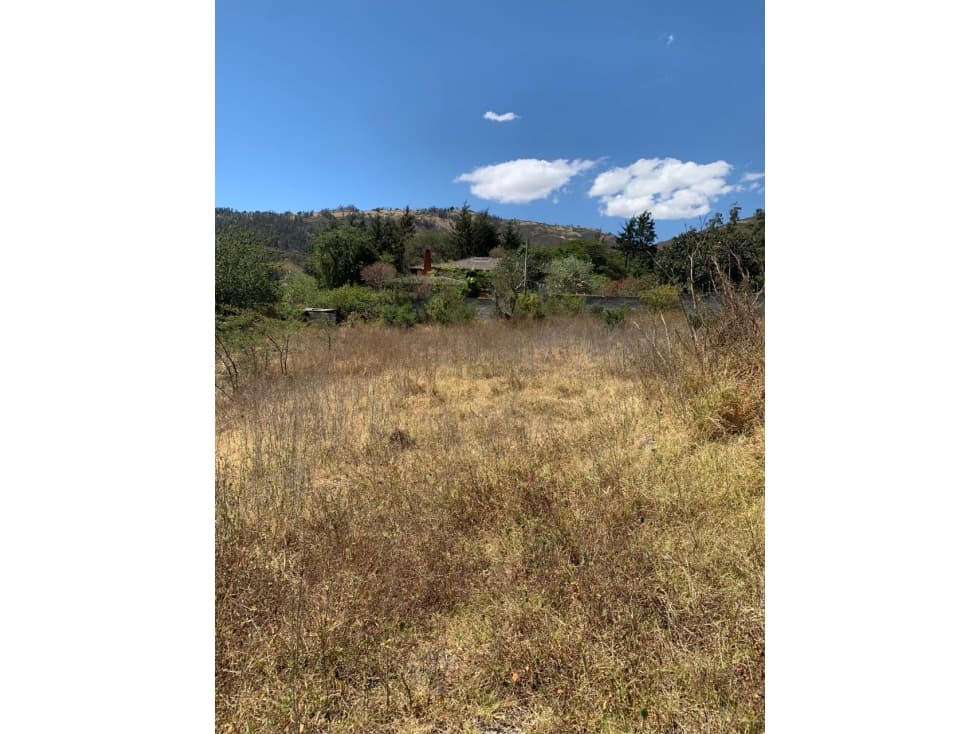 Terreno VENTA Tumbaco junto a ruta viva 2966 m2 — foto 3