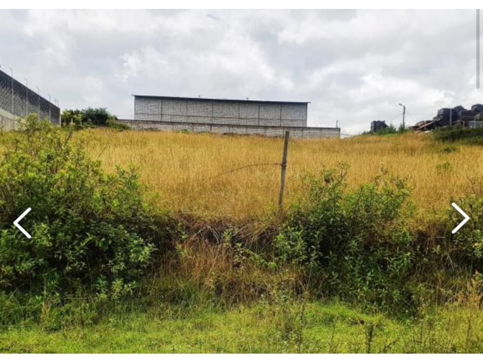 Terreno VENTA Pifo 1000m2 a 2 cuadras de vía principal — foto 3