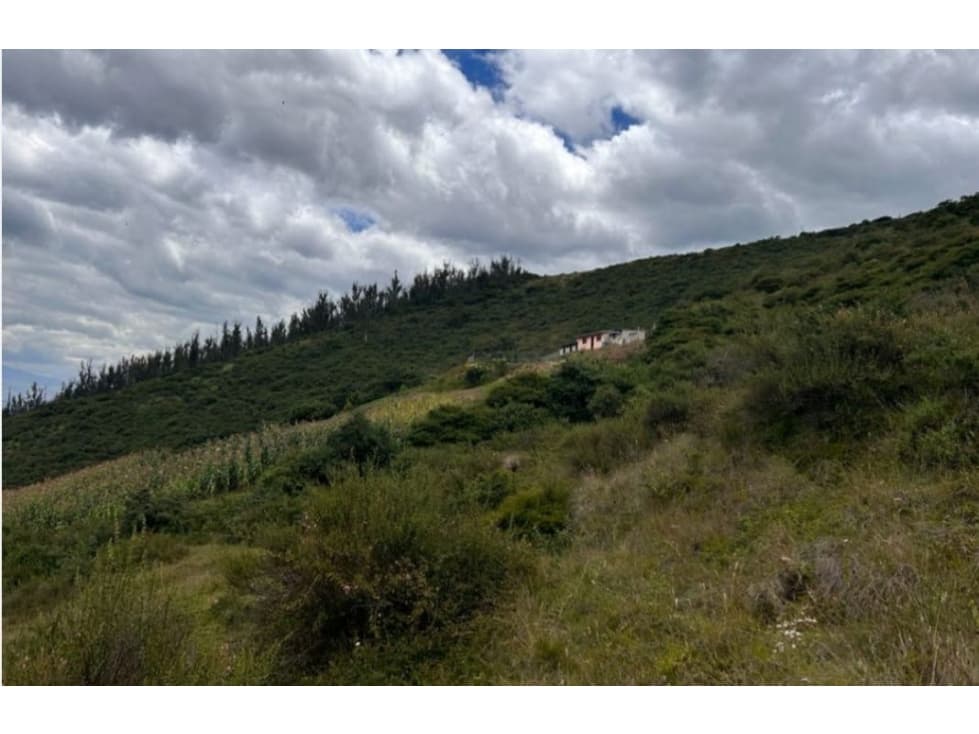 Terreno VENTA 1hectárea Cumbayá en el Ilaló — foto 4
