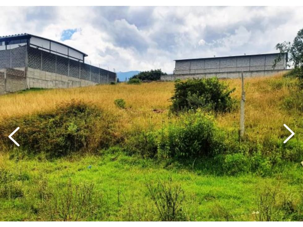 Terreno VENTA Pifo 1000m2 a 2 cuadras de vía principal — foto 4