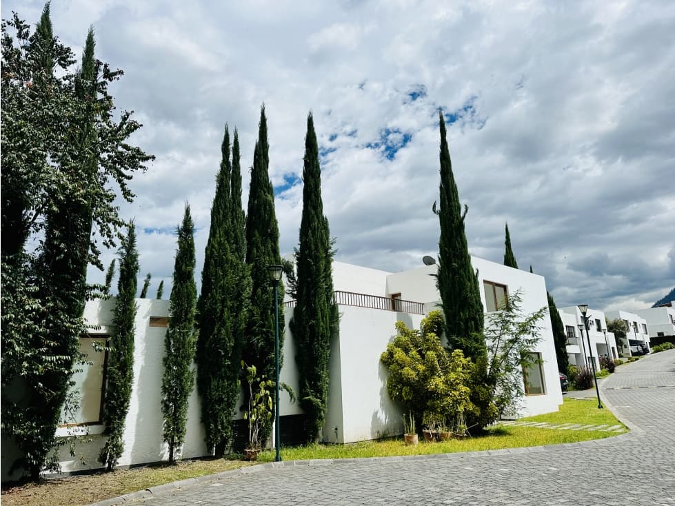 Casa VENTA 4 dormitorios con piscina CUMBAYÁ Algarrobos — foto 5