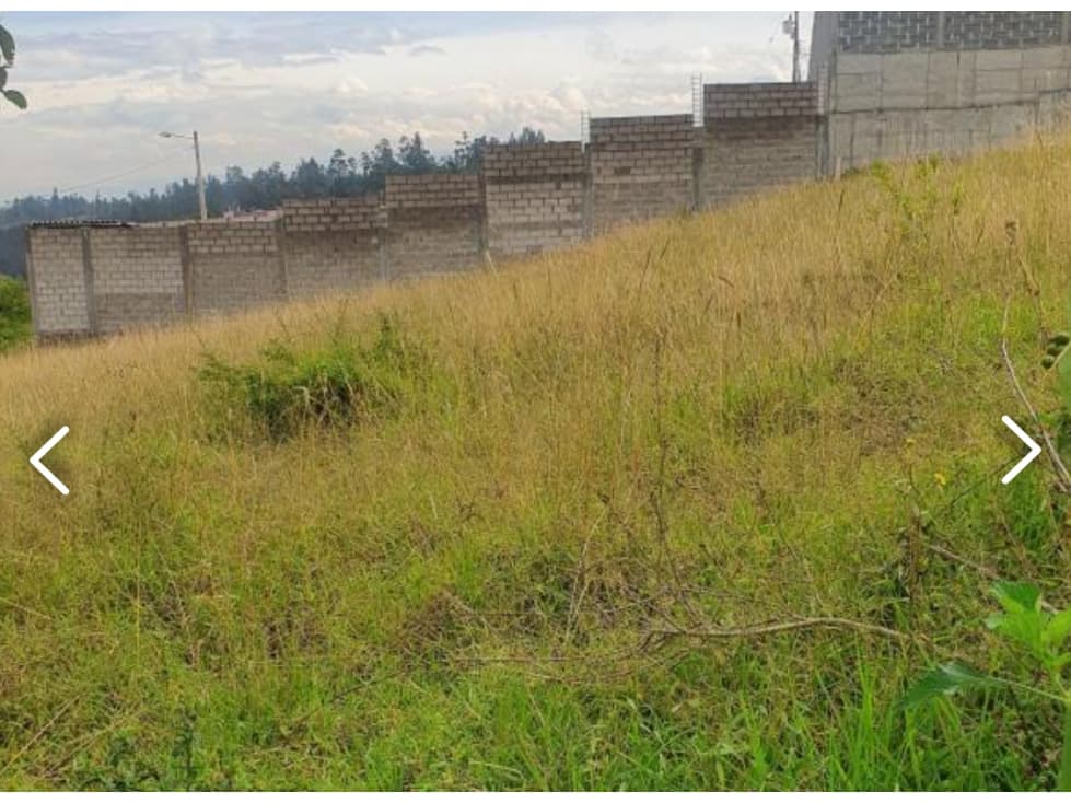 Terreno VENTA Pifo 1000m2 a 2 cuadras de vía principal — foto 5