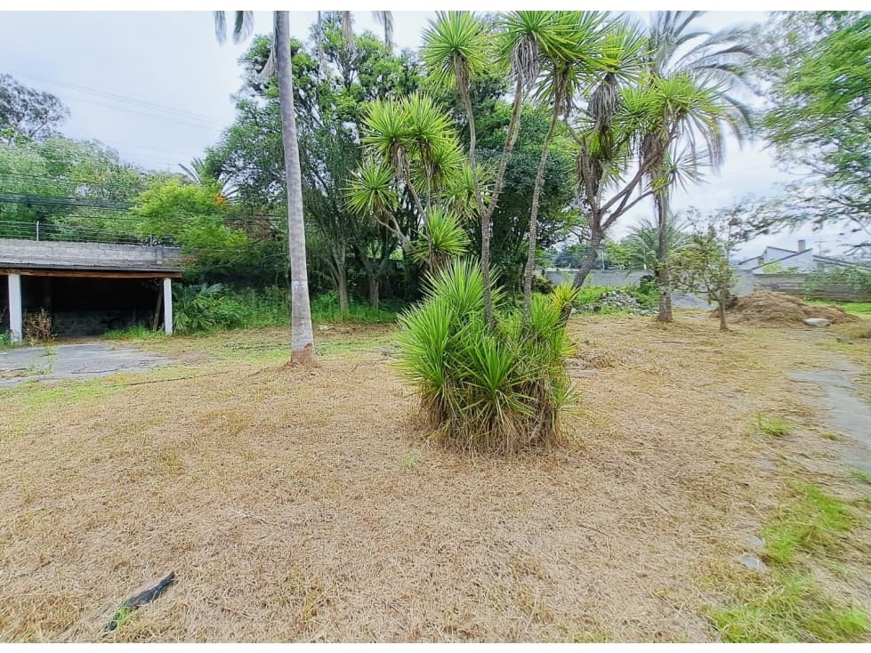 Terreno 3.680 m2 VENTA Cumbayá sector La Viña — foto 5