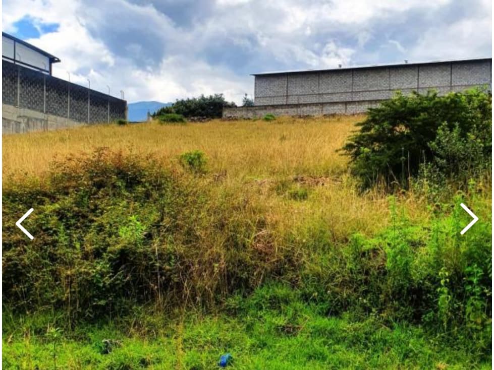 Terreno VENTA Pifo 1000m2 a 2 cuadras de vía principal — foto 6