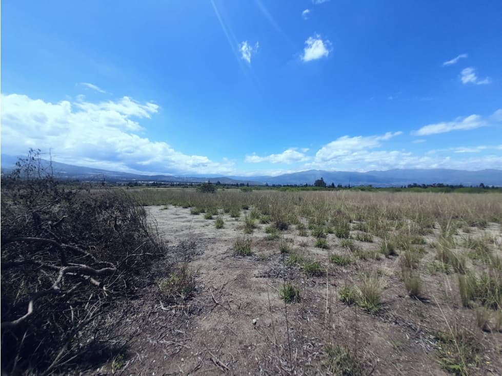 EN VENTA TERRENO DE 4102 METROS MALCHINGUI MV — foto 2