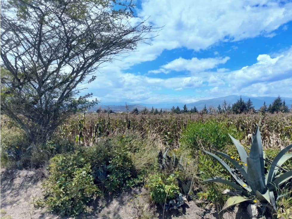 EN VENTA TERRENO DE 4102 METROS MALCHINGUI MV — foto 6