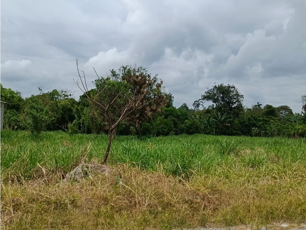 TERRENOS EN VENTA EN LA CONCORDIA SP — foto 4