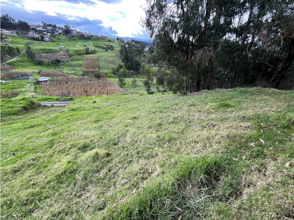 #145 Casa Con Terreno, Sector El Valle — foto 6