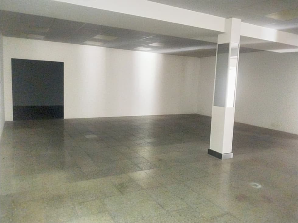 Av. Las Americas, Local Comercial en Renta, 380m2 — foto 2