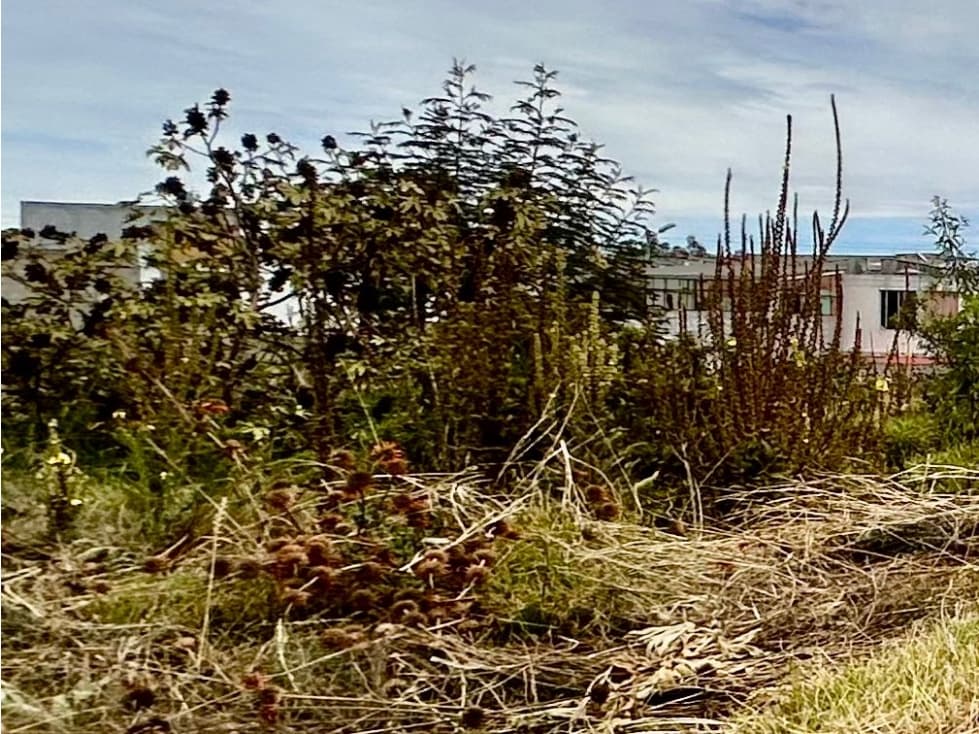 Calderón Marianitas , De Oportunidad Terreno en Venta, 667m2 — foto 3