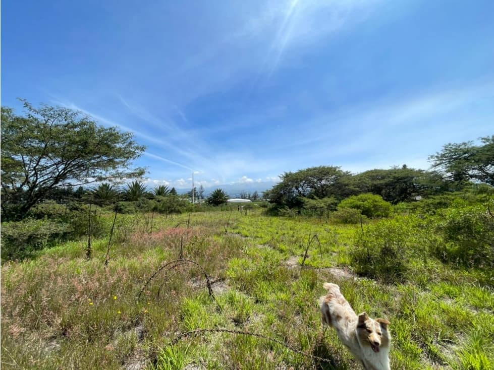 Puembo, Terreno en Venta, 1266,40m2 — foto 2