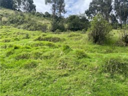 Chillogallo, Terreno en Venta, 348m2