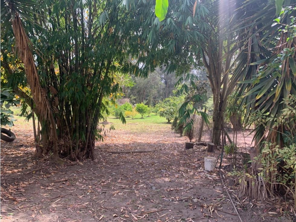 Tumbaco, Terreno en Venta, 1.815m2 — foto 2