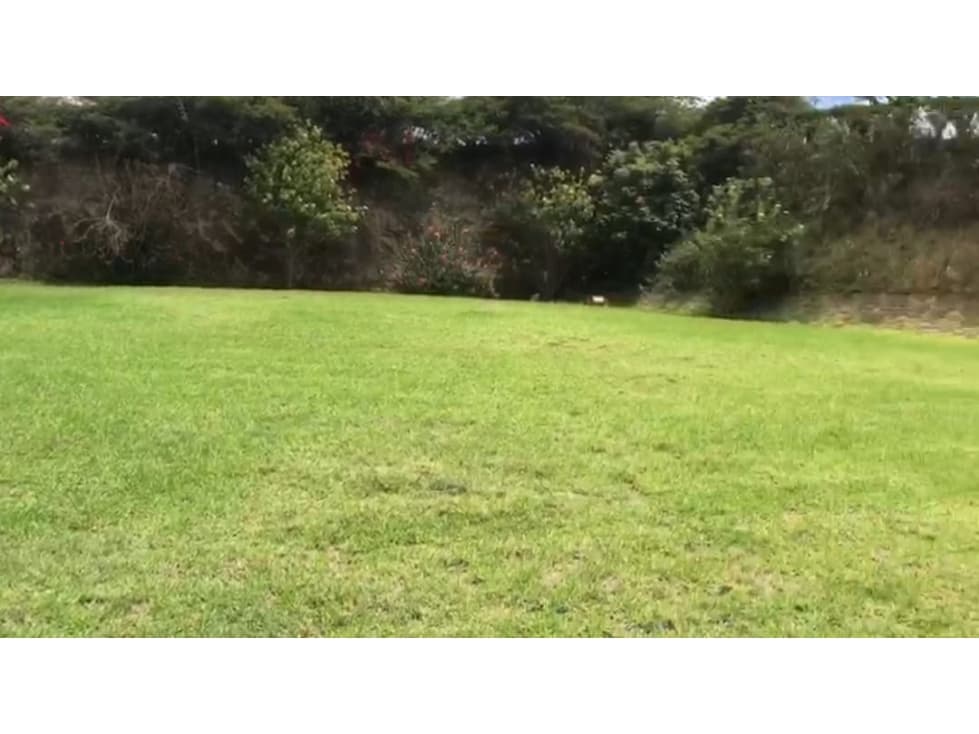 Cumbayá, Terreno en Venta, 1064m2, Lote 59 — foto 2