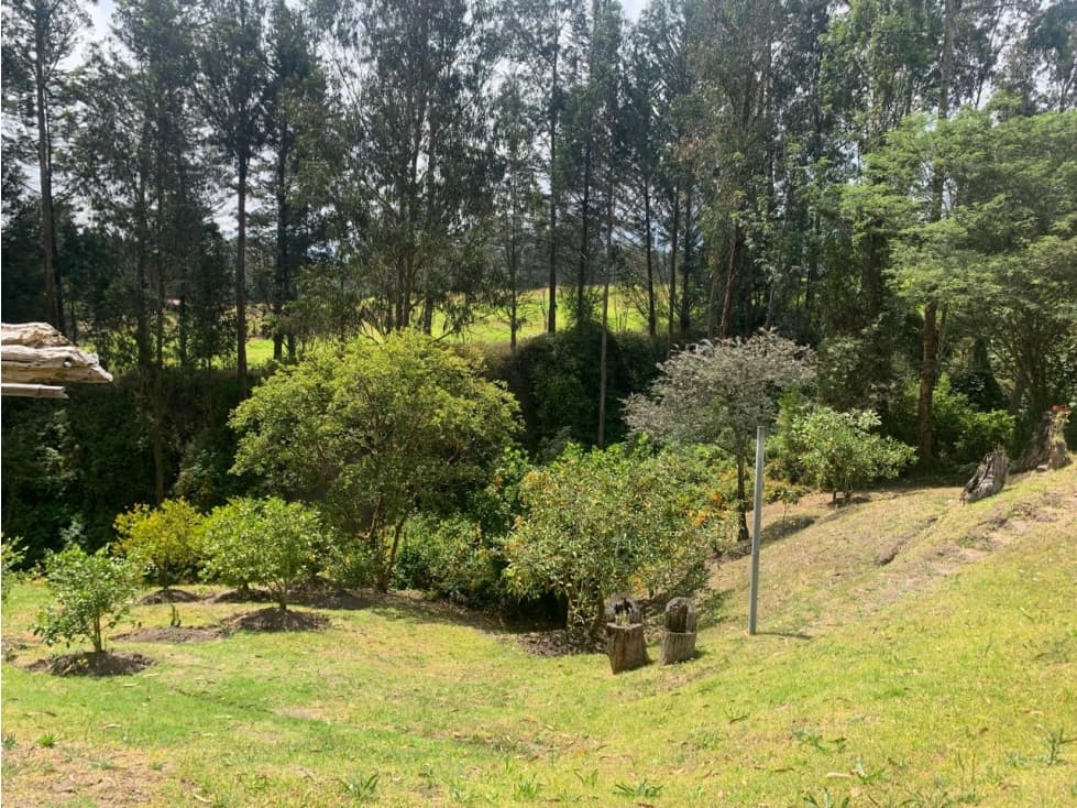 Tumbaco, Terreno en Venta, 1.815m2 — foto 4