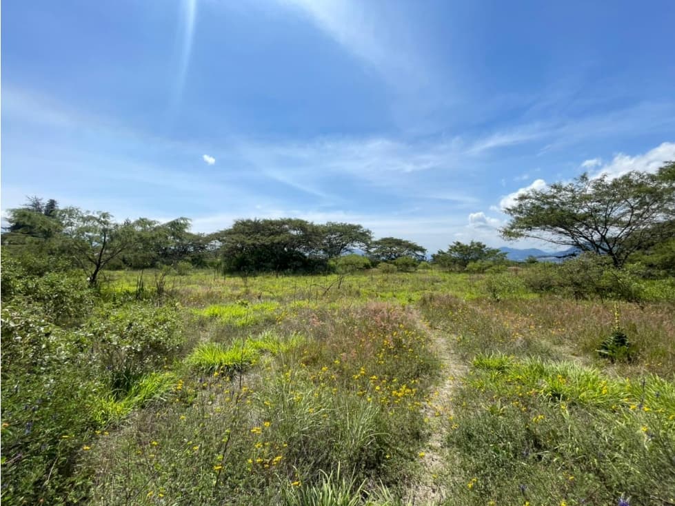 Puembo, Terreno en Venta, 1266,40m2 — foto 3
