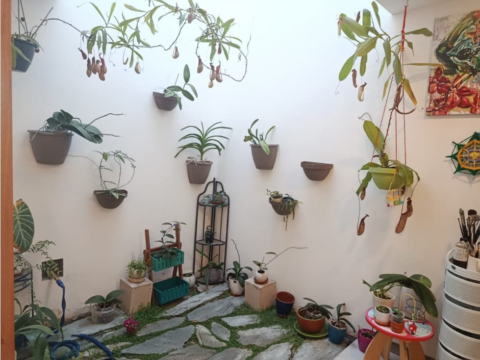Tumbaco, Hermosa Casa Amoblada en Renta, 360m2 — foto 3