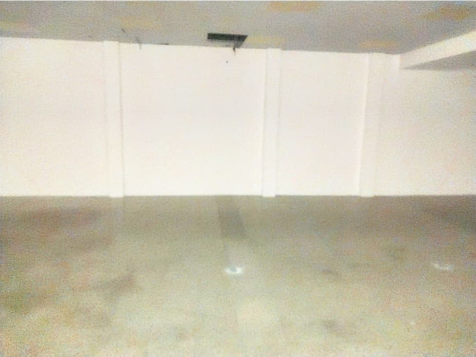 Av. Las Americas, Local Comercial en Renta, 380m2 — foto 4