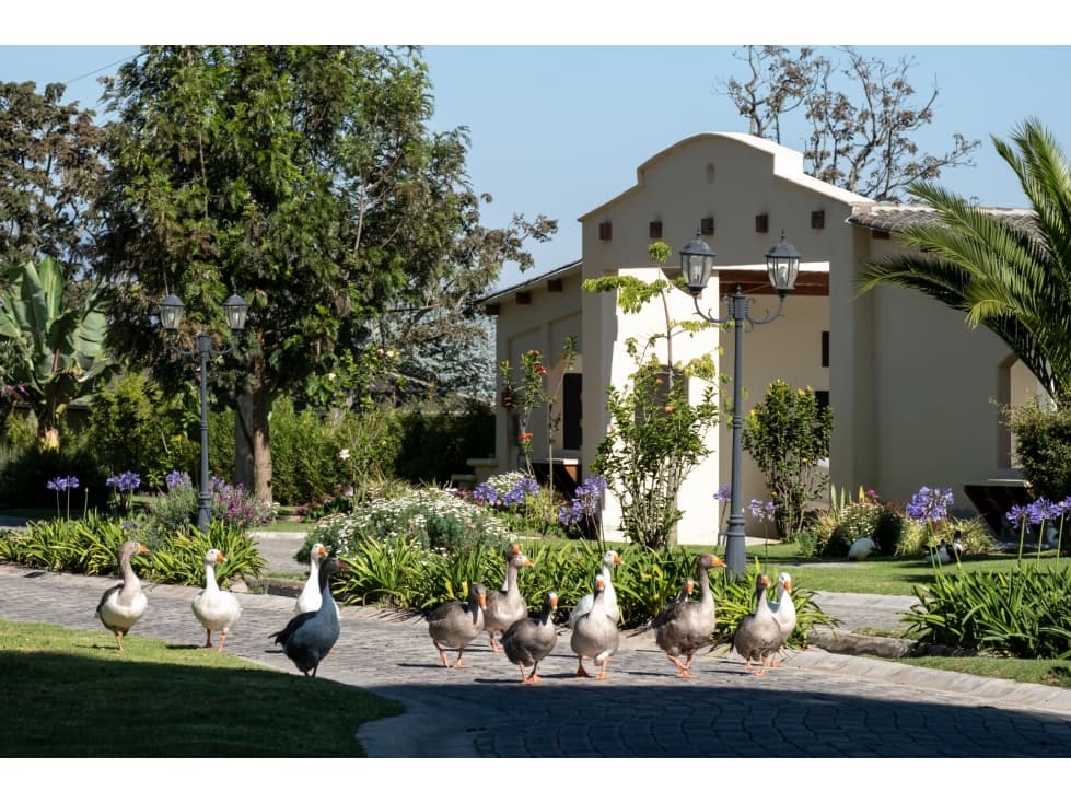 Checa, Pakakuna Gardens Casa en Venta, 162.36m2 — foto 3