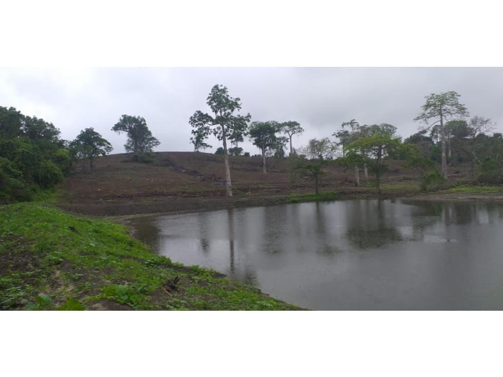 Vendo terreno agroforestal en el sector de Santa Elena — foto 2