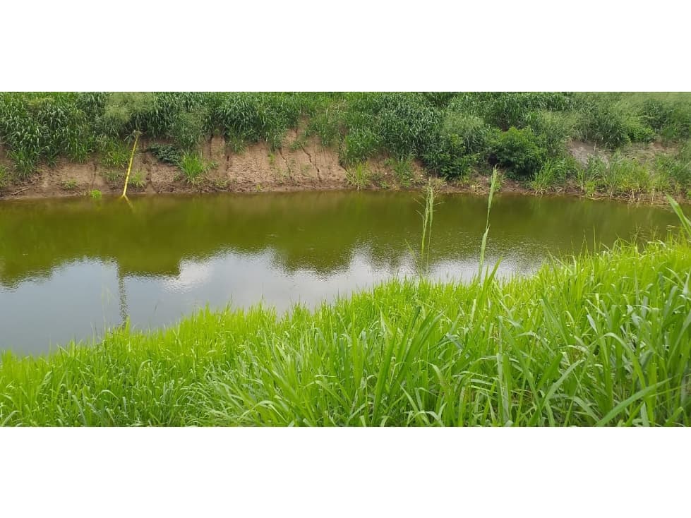 Vendo terreno agroforestal en el sector de Santa Elena — foto 6