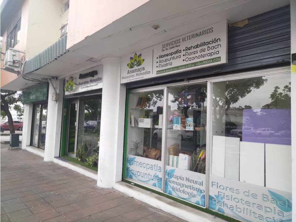 SE VENDE CASA RENTERA, AV. PLAZA DAÑIN, FAE (MONIJ) — foto 6