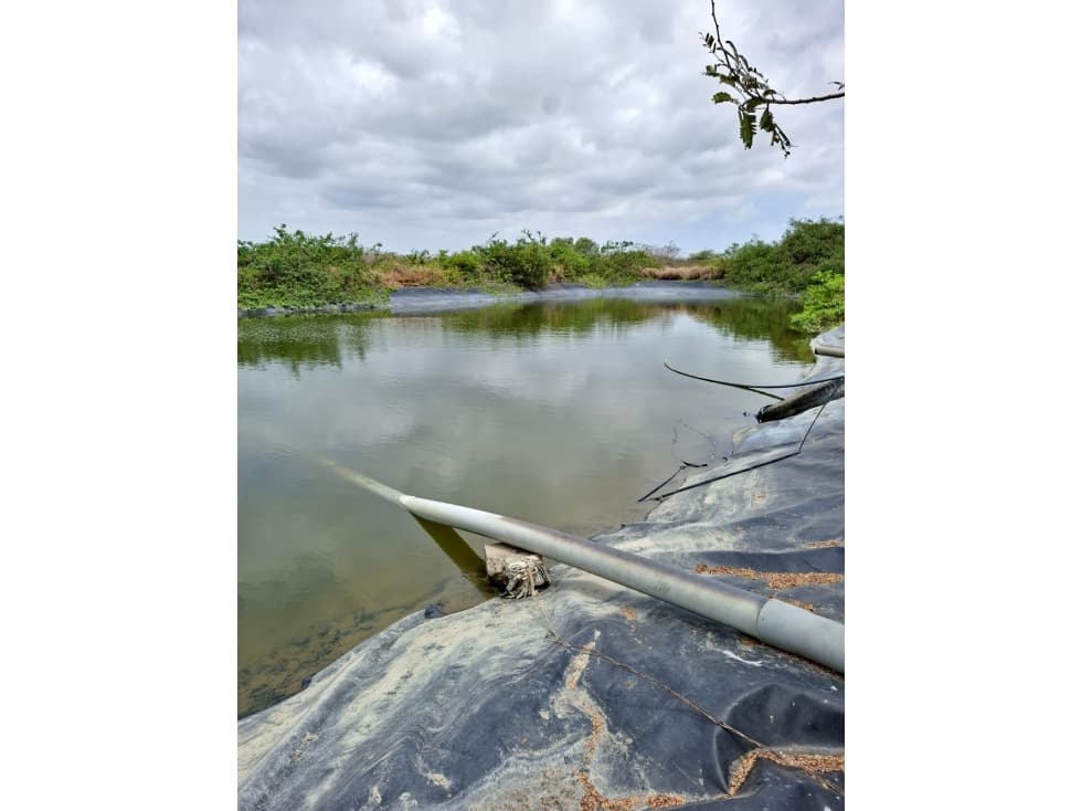 FINCA AGRÍCOLA EN VENTA 130 HECTÁREAS | Chanduy — foto 3