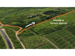 PROPIEDAD AGRÍCOLA | 183 HECTÁREAS, San Rafael