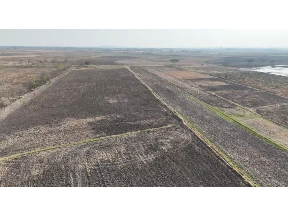 Terreno en Venta Recinto La Barranca,Nuevo Samborondón (4.03 Ha) — foto 3
