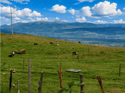 HACIENDA GANADERA Y AGRÍCOLA EN VENTA | 1000 HECTÁREAS, PICHINCHA