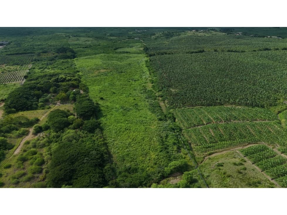 PROPIEDAD AGRÍCOLA | 183 HECTÁREAS, San Rafael — foto 2