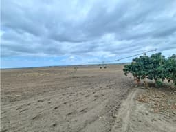 FINCA AGRÍCOLA EN VENTA 130 HECTÁREAS | Chanduy