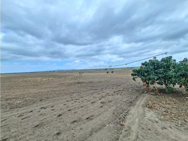 FINCA AGRÍCOLA EN VENTA 130 HECTÁREAS | Chanduy
