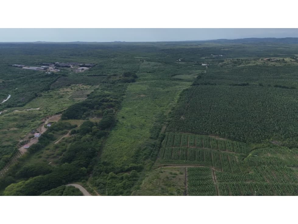 PROPIEDAD AGRÍCOLA | 183 HECTÁREAS, San Rafael — foto 4