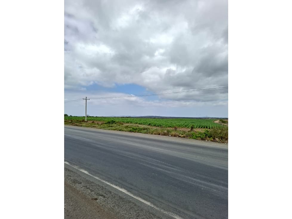 FINCA AGRÍCOLA EN VENTA 130 HECTÁREAS | Chanduy — foto 5