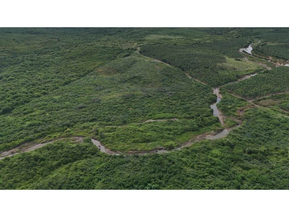 PROPIEDAD AGRÍCOLA | 183 HECTÁREAS, San Rafael — foto 6