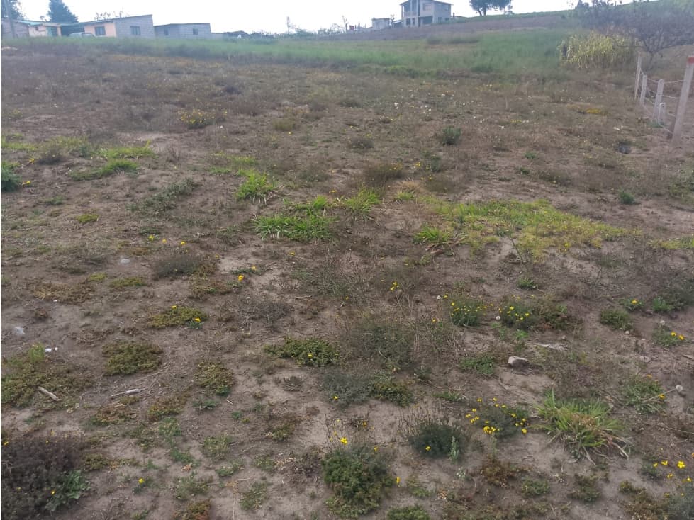 Lotes en Venta — foto 4