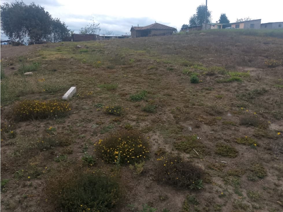 Lotes en Venta — foto 5