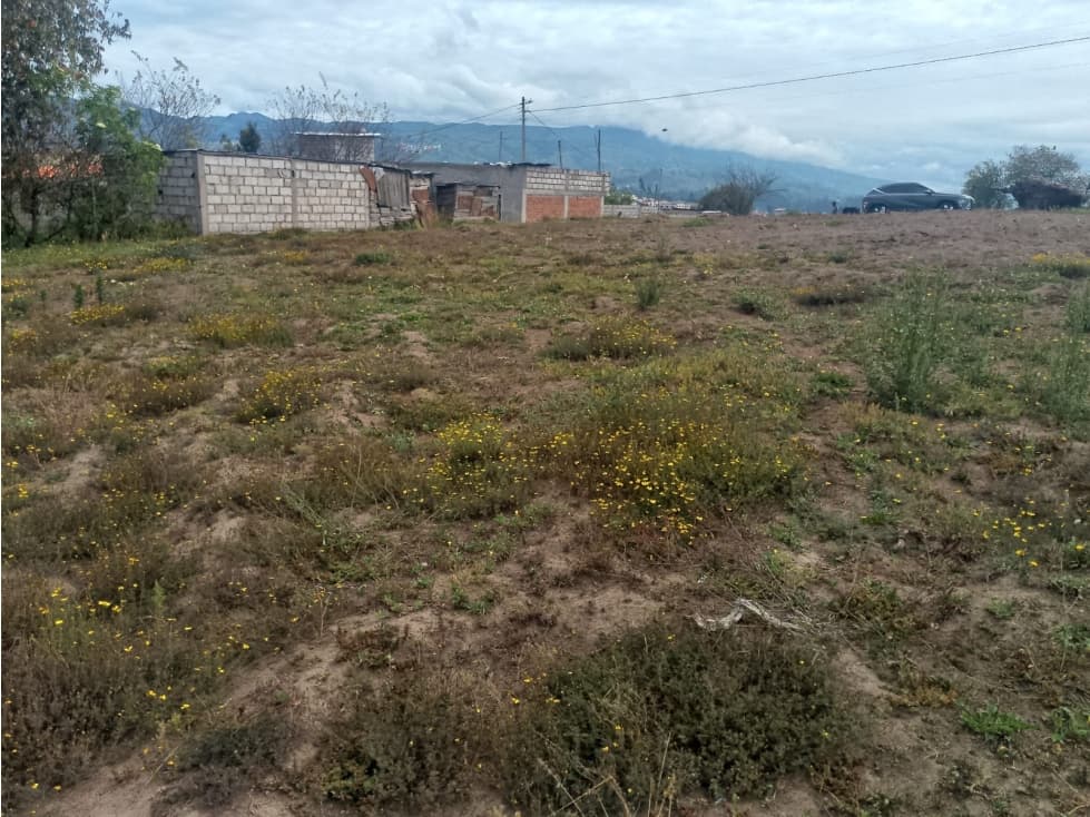 Lotes en Venta — foto 6