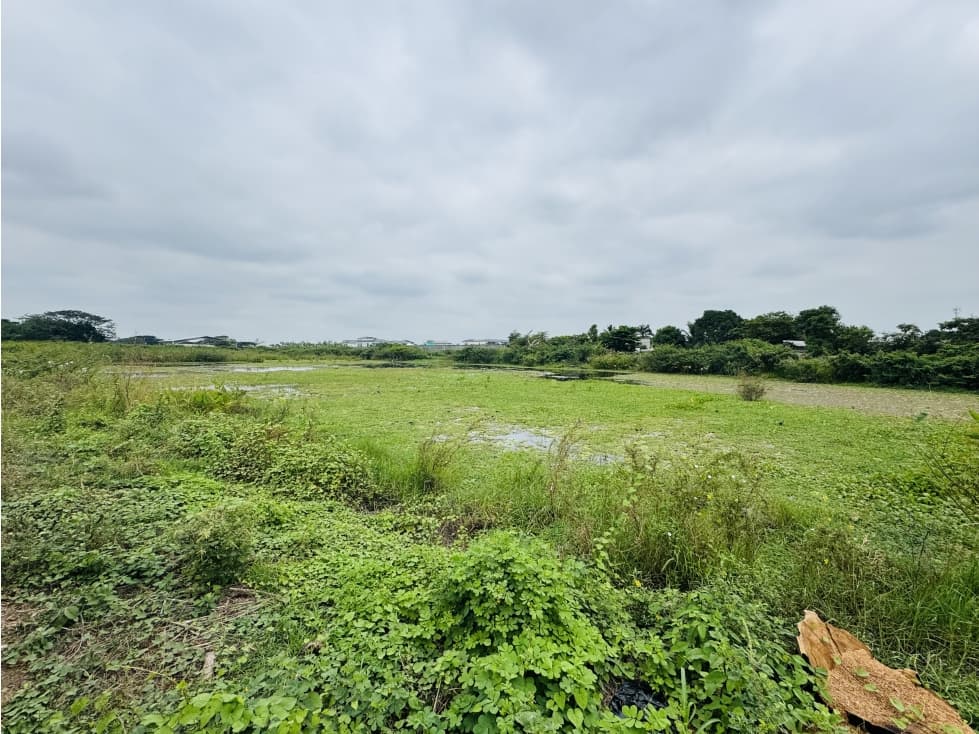 TERRENO EN VENTA HIPODROMO BUIJO — foto 5