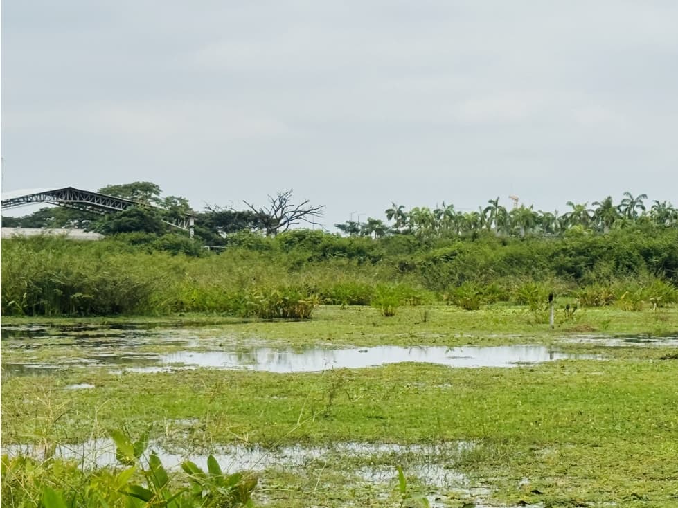 TERRENO EN VENTA HIPODROMO BUIJO — foto 6